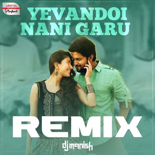 Yevandoi Nani Garu Official Remix Divya Kumar MP3 Download