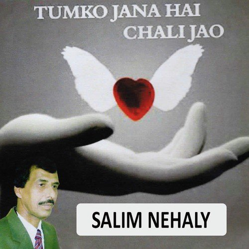 Salim Nehaly Songs MP3 Download