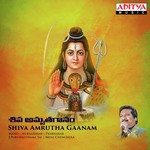 Muralidhar Songs MP3 Download