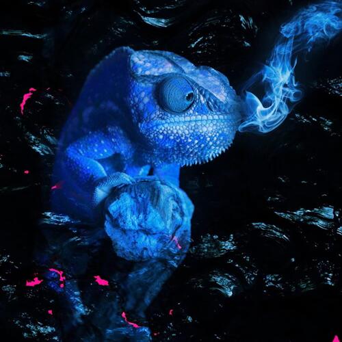 High Lizard Sri MP3 Download