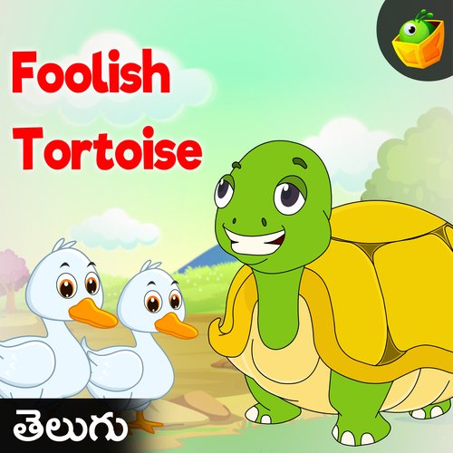 Foolish Tortoise Magicbox MP3 Download