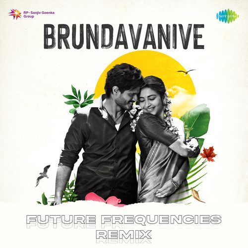 Brundavanive Future Frequencies Remix Karthik MP3 Download