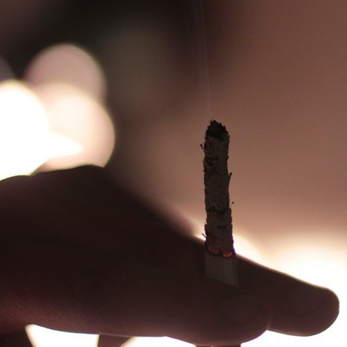 Fractalo Gash Songs MP3 Download