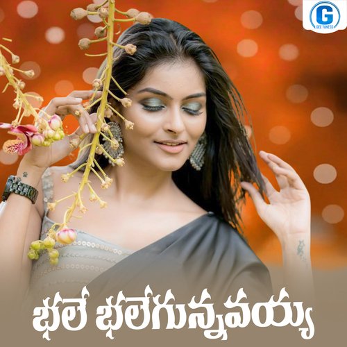 Bhale Bhalegunnavaiah Shankar Babu Kandukoori MP3 Download