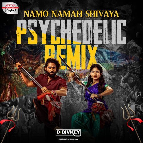 Namo Namah Shivaya Psychedelic Remix Mukesh MP3 Download