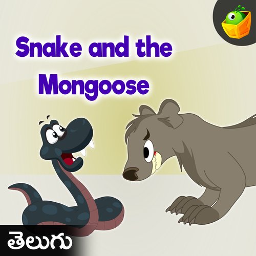 Snake And The Mongoose Magicbox MP3 Download