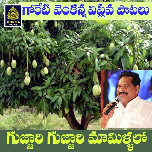 Gujjaari Gujjaari Mamillalo S.P. Balasubrahmanyam MP3 Download