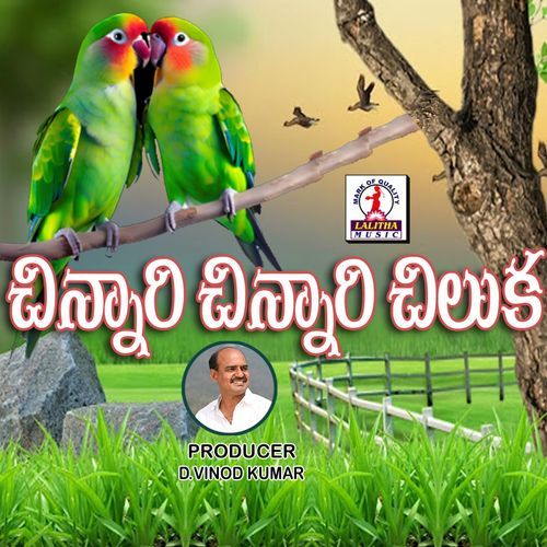 Chinnari Chinnari Chiluka Anil Choppari MP3 Download