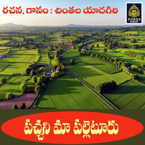 Pachani Ma Palletooru Vishnu Kishore MP3 Download