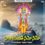 Narayanate Namo Namo - Murali. Musalikunta Song Download