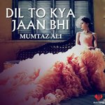 Mumtaz Ali Songs MP3 Download