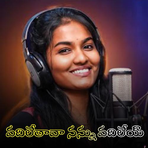 Vadilethava Nannu Vadile Raghavendra Nallenki MP3 Download