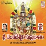 Shashi Kala Swami Songs MP3 Download
