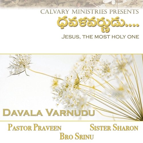 Davalavarnudu Pastor Praveen MP3 Download