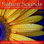 Natural White Noise for Sleep Songs MP3 Download