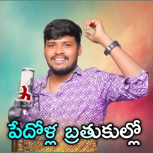 PEDOLLA BRATHUKULLO Aravind Aru MP3 Download