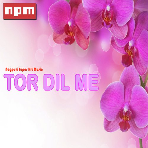 Sujit Minz Songs MP3 Download