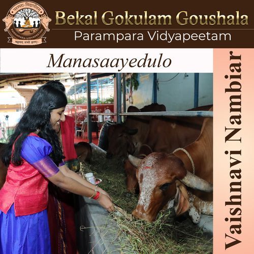 Manasaayedulo Parampara Vidyapeetam MP3 Download
