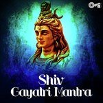 Deepak Shah Songs MP3 Download