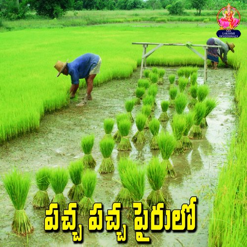 Pacha Pachani Pairulo Sarangapani MP3 Download