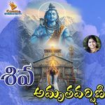 Sri Shiva Amruthavarshini Album Download