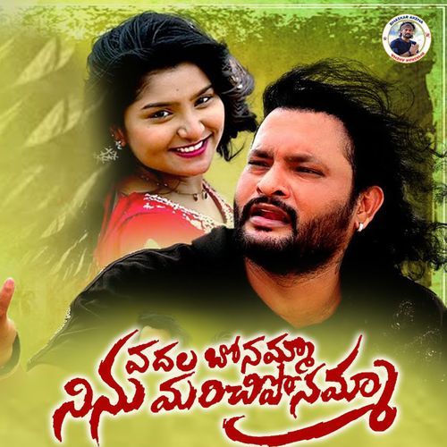 Vadhalabonamma Ninu Marichiponamma Maawori Mallesh MP3 Download