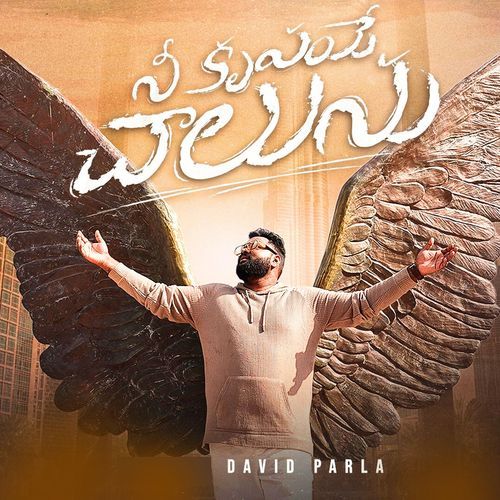 నీ కృపయే చాలును David Parla MP3 Download