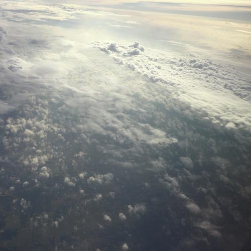 Thomas Andrews Songs MP3 Download