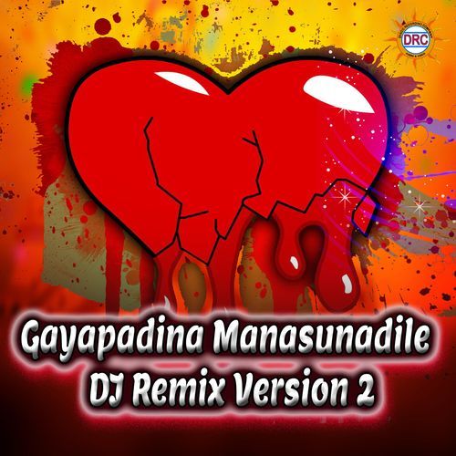 Gayapadina Manasunadile (DJ Remix Version 2) Ram Miryala MP3 Download
