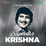 Tribute To Superstar Krishna MP3 Download