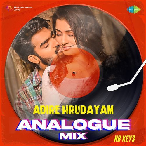 Adire Hrudayam Analogue Mix Sruthi Ranjani MP3 Download