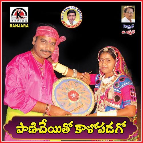 Paani Cheyeto Kalo Padago MUDAVATH SRINIVASH MP3 Download