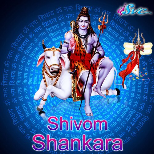 Shivom Shankara Srikanth MP3 Download