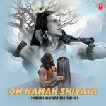 Om Namah Shivaya Mahashivrathri Songs MP3 Download