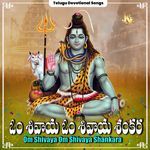 Om Shivaya Om Shivaya Shankara Album Download