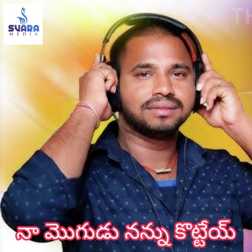 Naa Mogudu Nannu Kottey Maddila Narayana MP3 Download