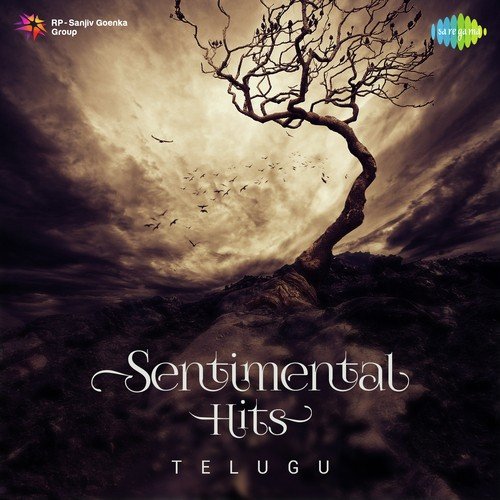 Sentimental Hits - Telugu P. Susheela MP3 Download