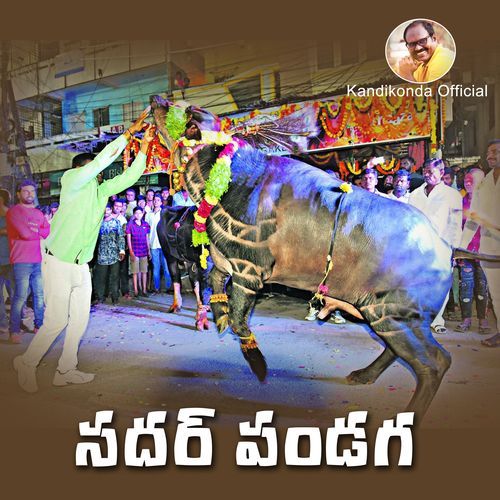 Sadar Pandaga Hanmanth Yadav MP3 Download