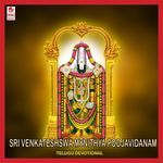 Sri Venkatesh Swamy Nithya Pooja Vidanam Album Download