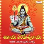 Shivaya Parmeshvaraya Karthika Masam Special Song's - Smita Song Download