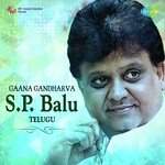 Gaana Gandharva S.P. Balu - Rajan-Nagendra Song Download