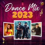 Dance Mix 2023 - Because Raj Song Download
