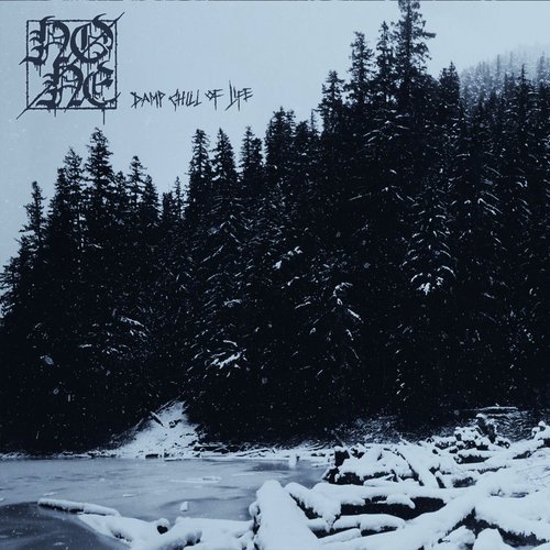 None Songs MP3 Download