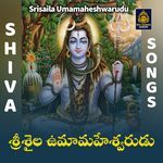 Srisaila Umamaheshwarudu Album Download