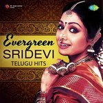 Evergreen Sridevi Telugu Hits Album Download
