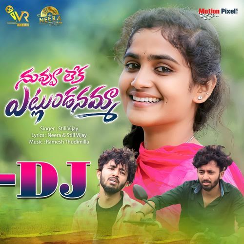 Nuvvuleka Etlundanamma DJ Still Vijay MP3 Download