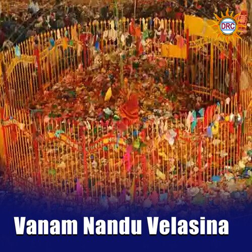 Vanam Nandu Velasina Shaeed Babu MP3 Download