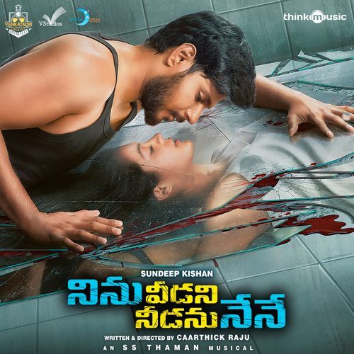 Ninu Veedani Needanu Nene Ramya NSK MP3 Download