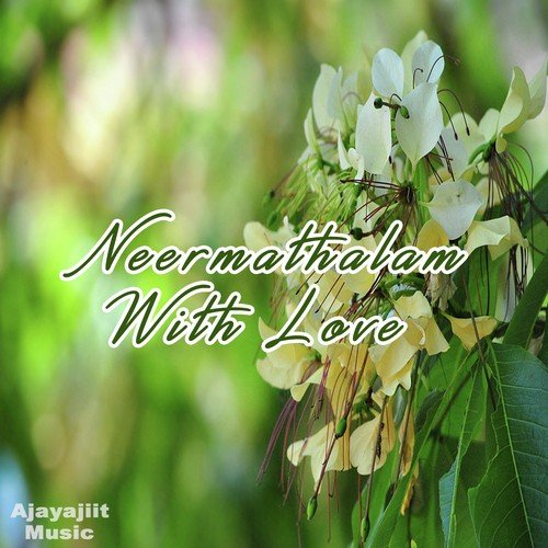 Abhilash Rama Songs MP3 Download