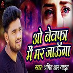 Amit R Yadav Songs MP3 Download